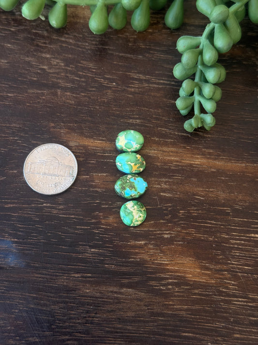 Sonoran Mountain Turquoise Cabs