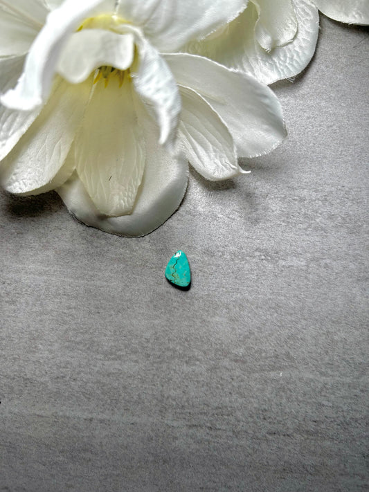 Kingman Turquoise Cab