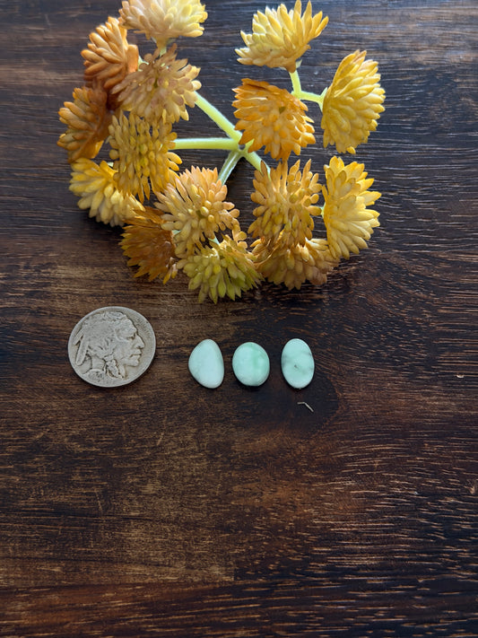 Paloma Variscite Cabs