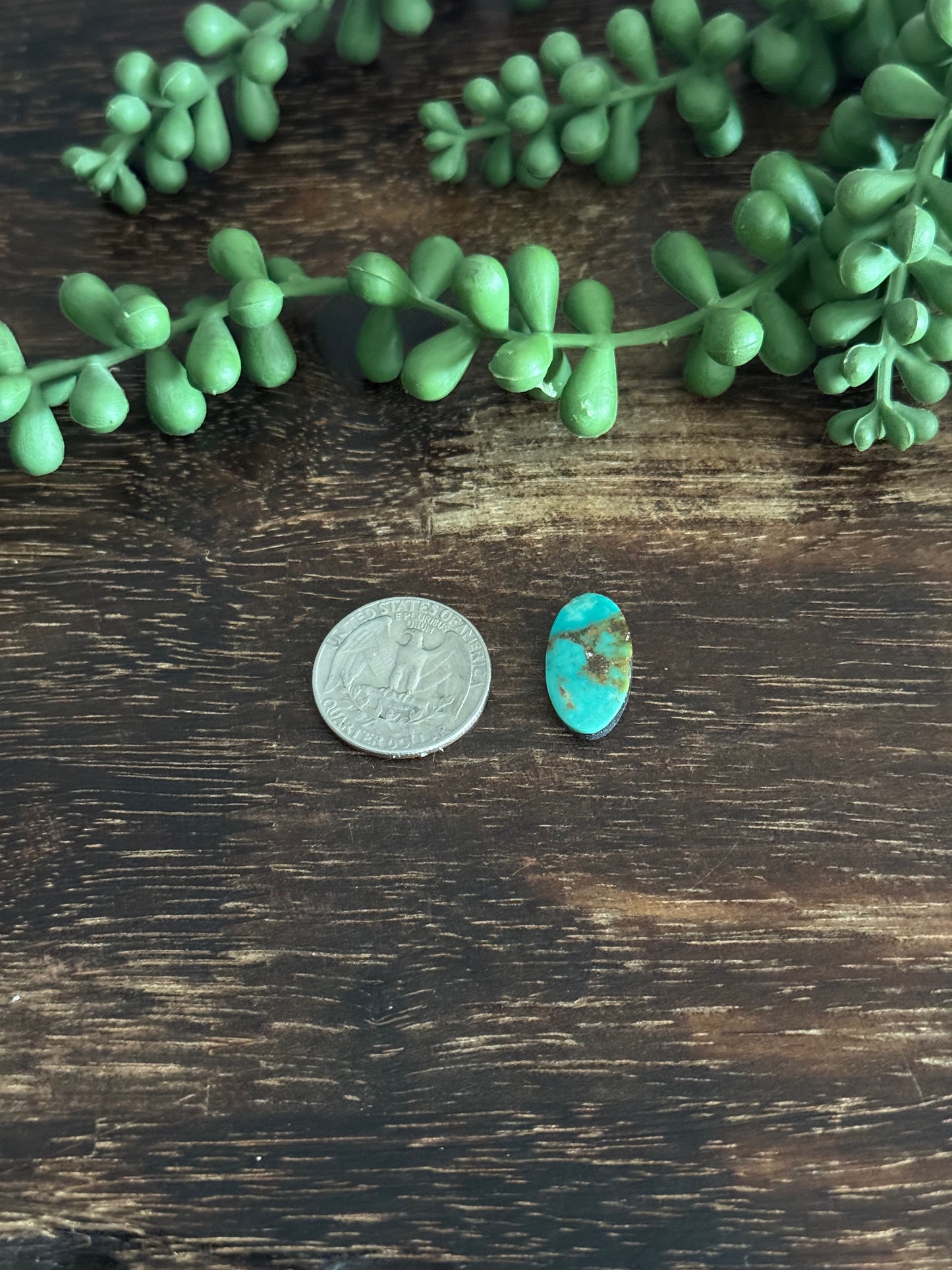 Kingman Turquoise Cab