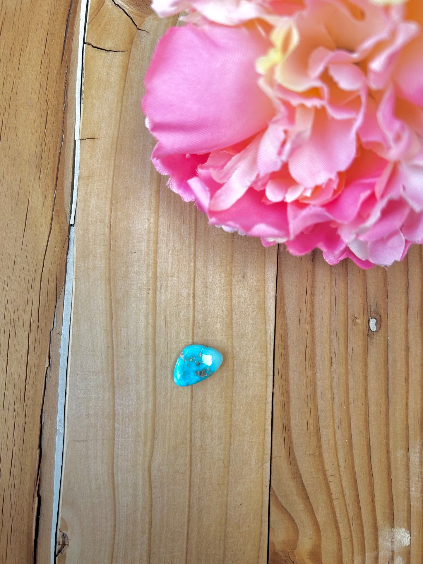 Blue Bird Turquoise Cabs
