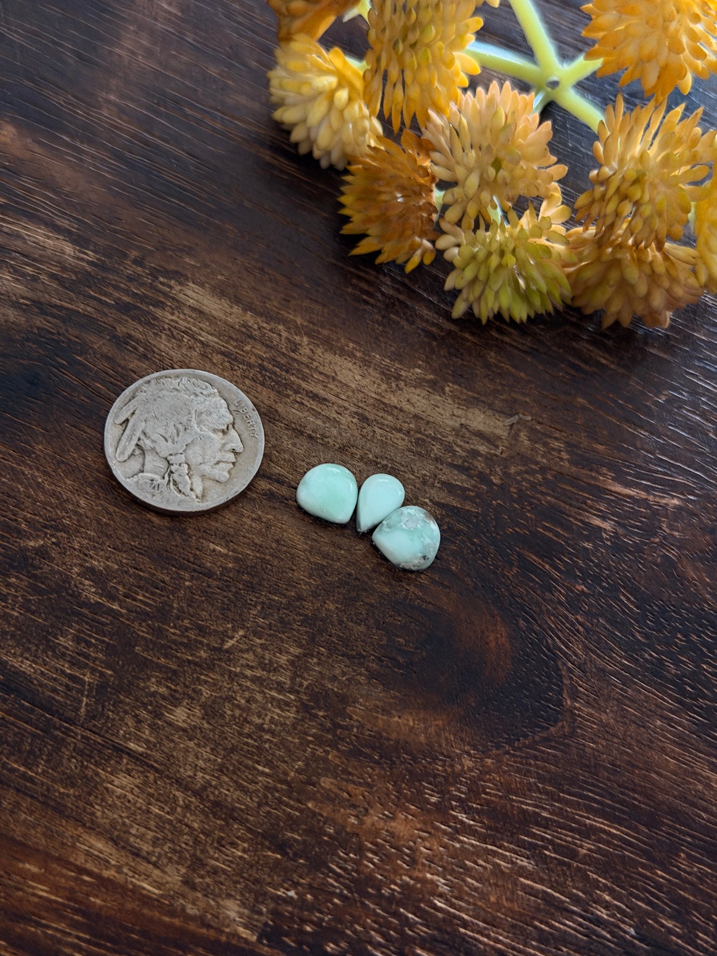 Paloma Variscite Cabs