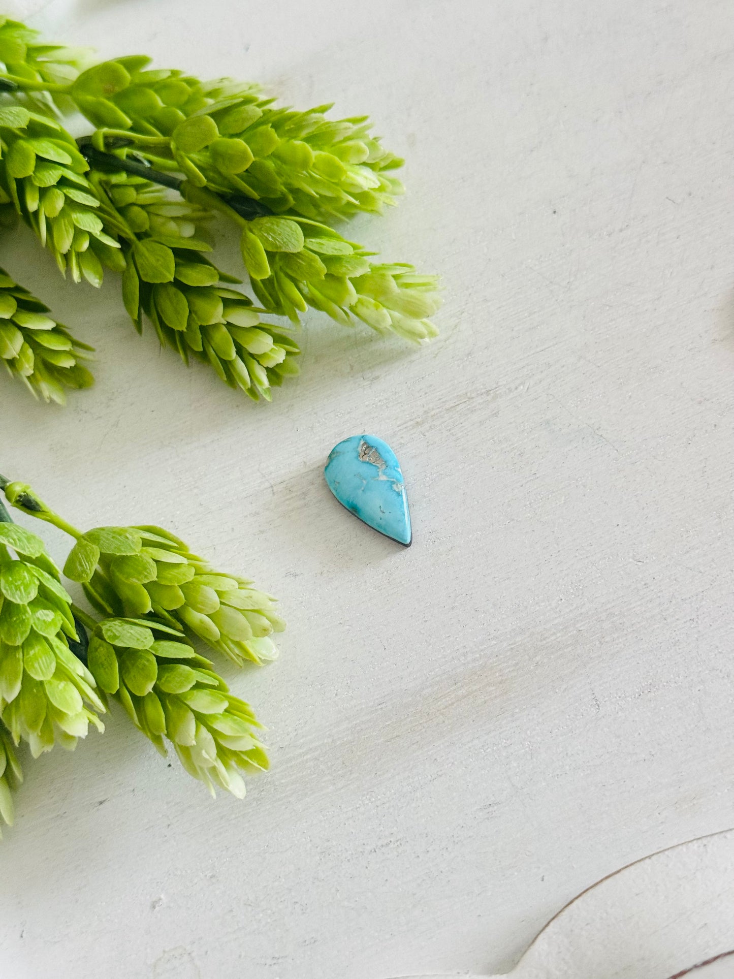 Blue Bird Turquoise Cab