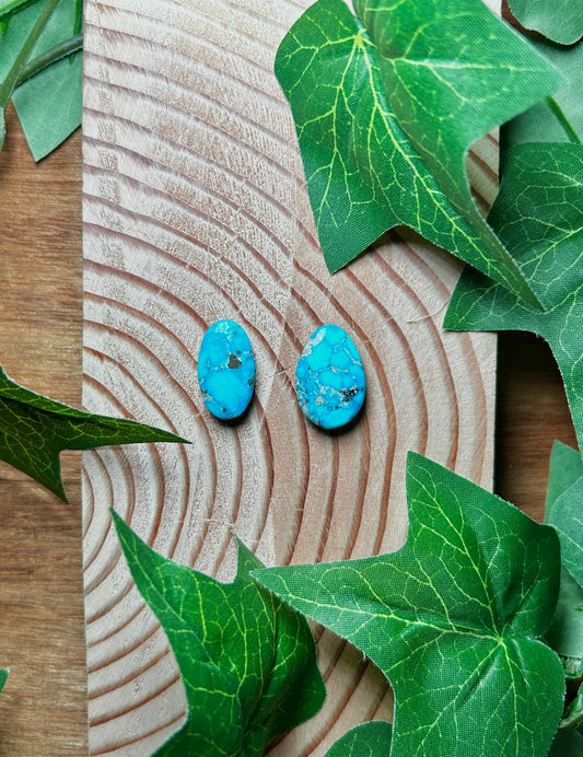 Blue Bird Turquoise Cabs