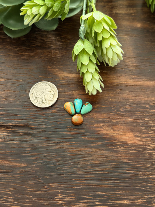 Evans Turquoise Cabs