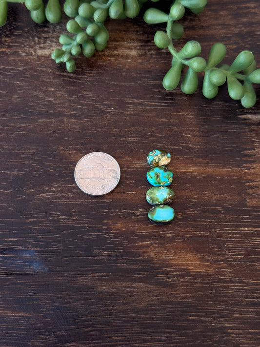 Sonoran Mountain Turquoise Cabs