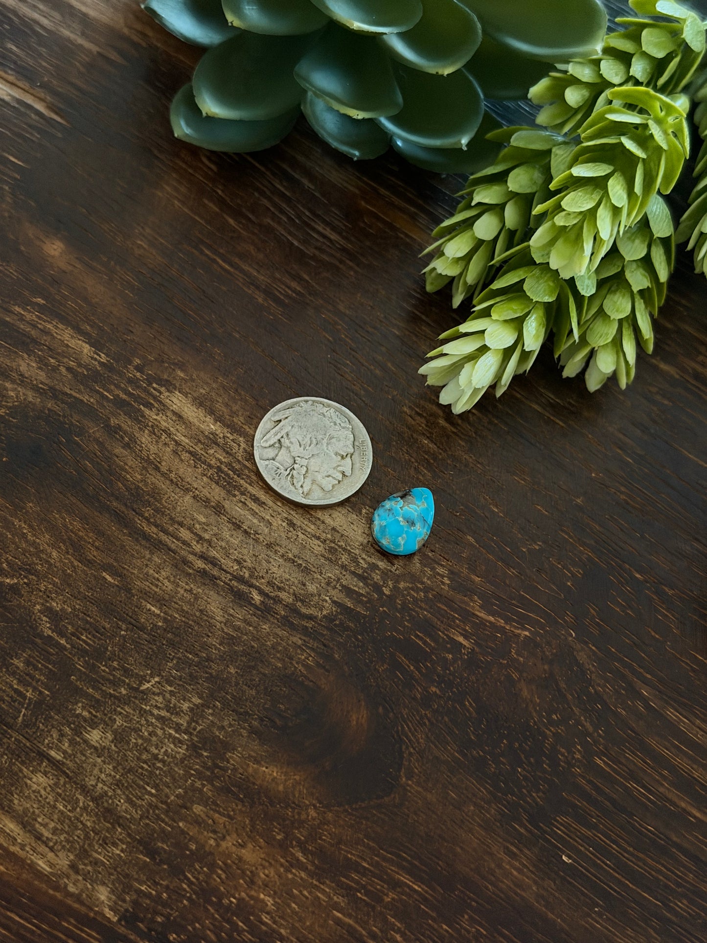 Blue Bird Turquoise Cab