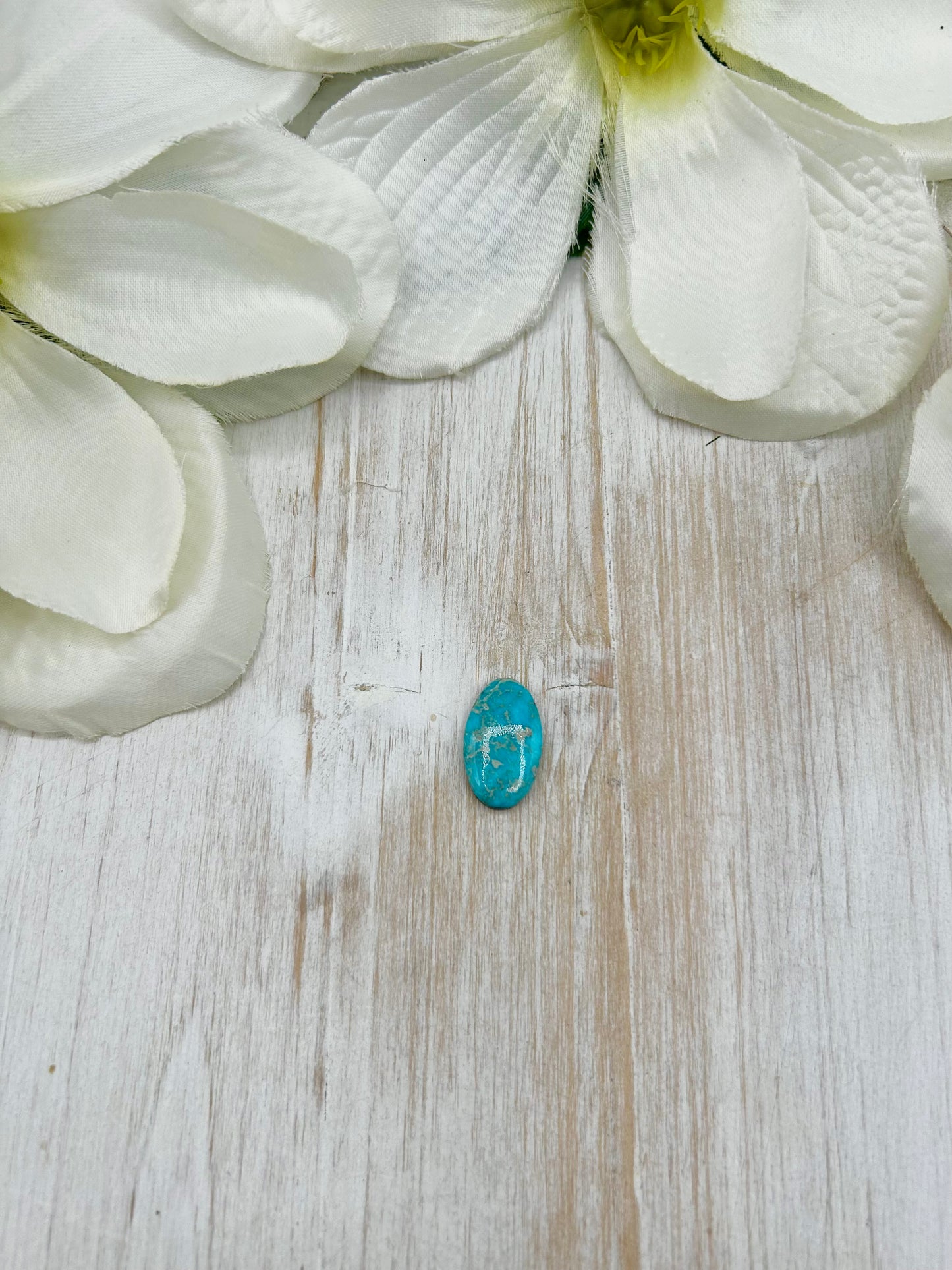 Blue Ridge Turquoise Cab