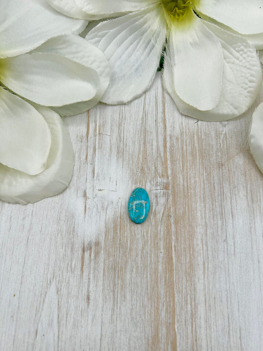 Blue Ridge Turquoise Cab