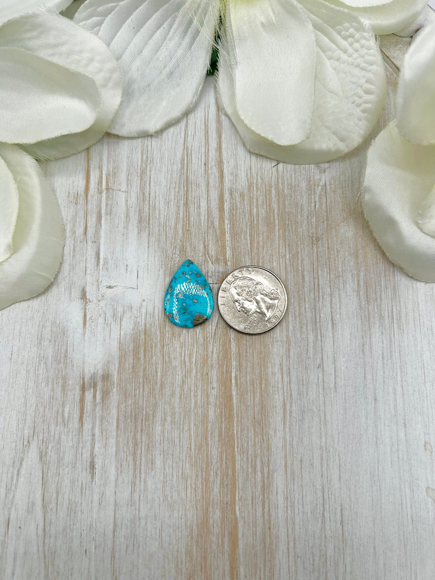 Blue Ridge Turquoise Cab