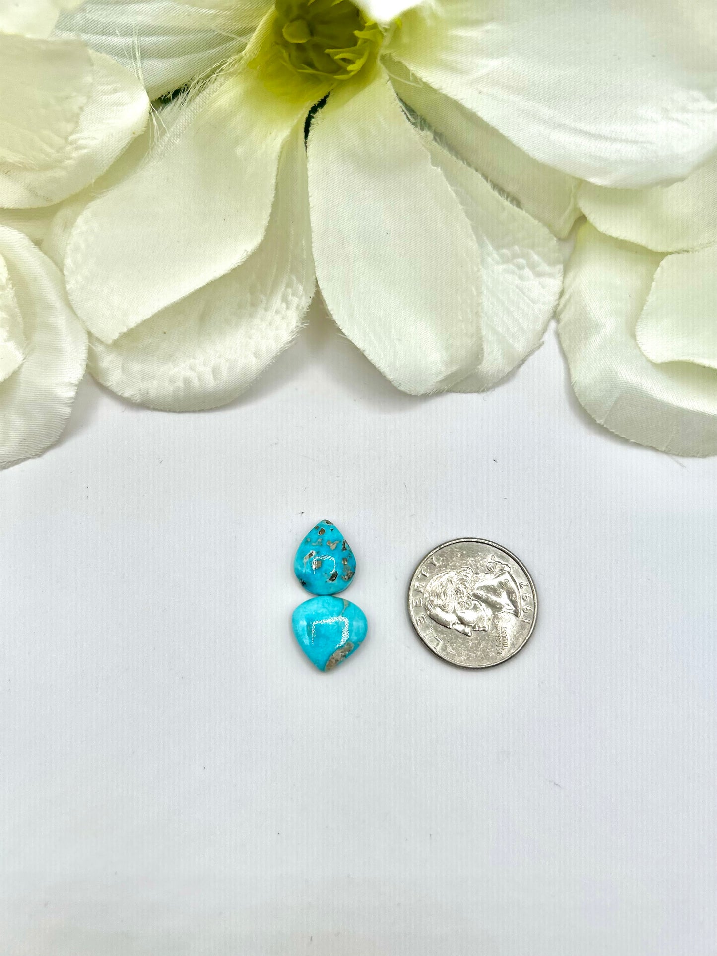 Blue Ridge Turquoise Cabs
