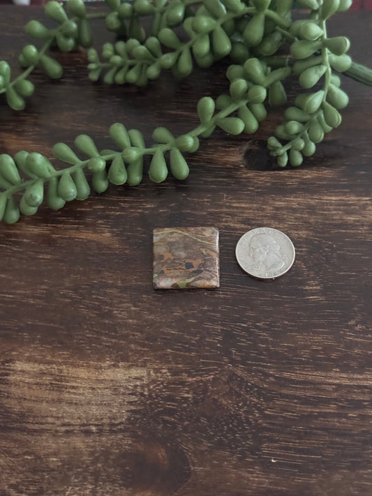 Black Jack Turquoise Cab