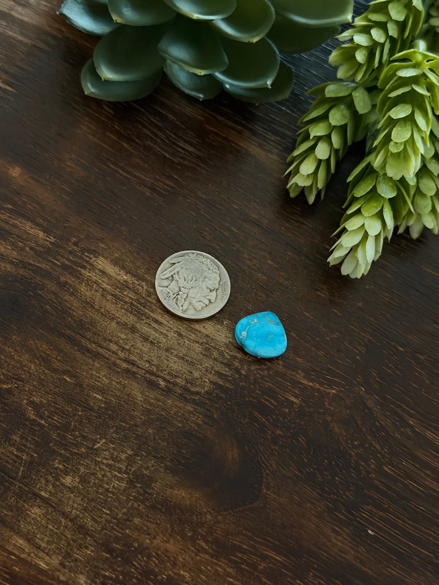 Blue Bird Turquoise Cab