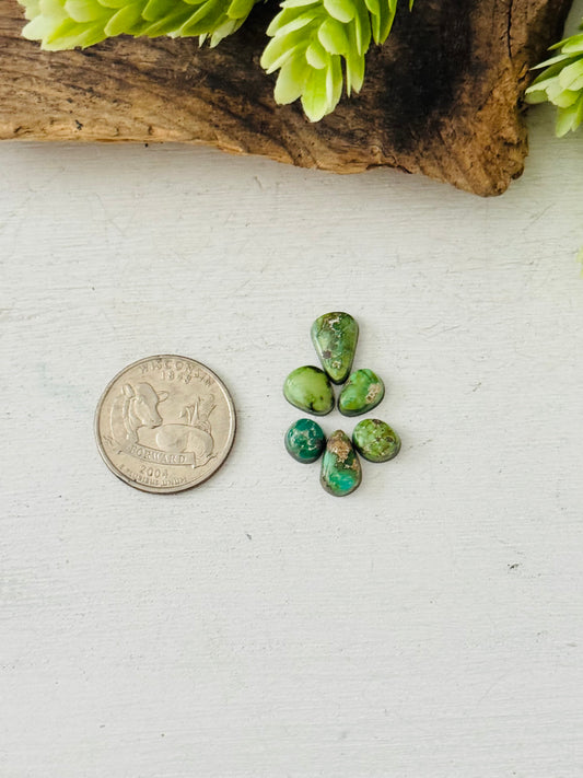 Natural Sonoran Gold Turquoise Cabs