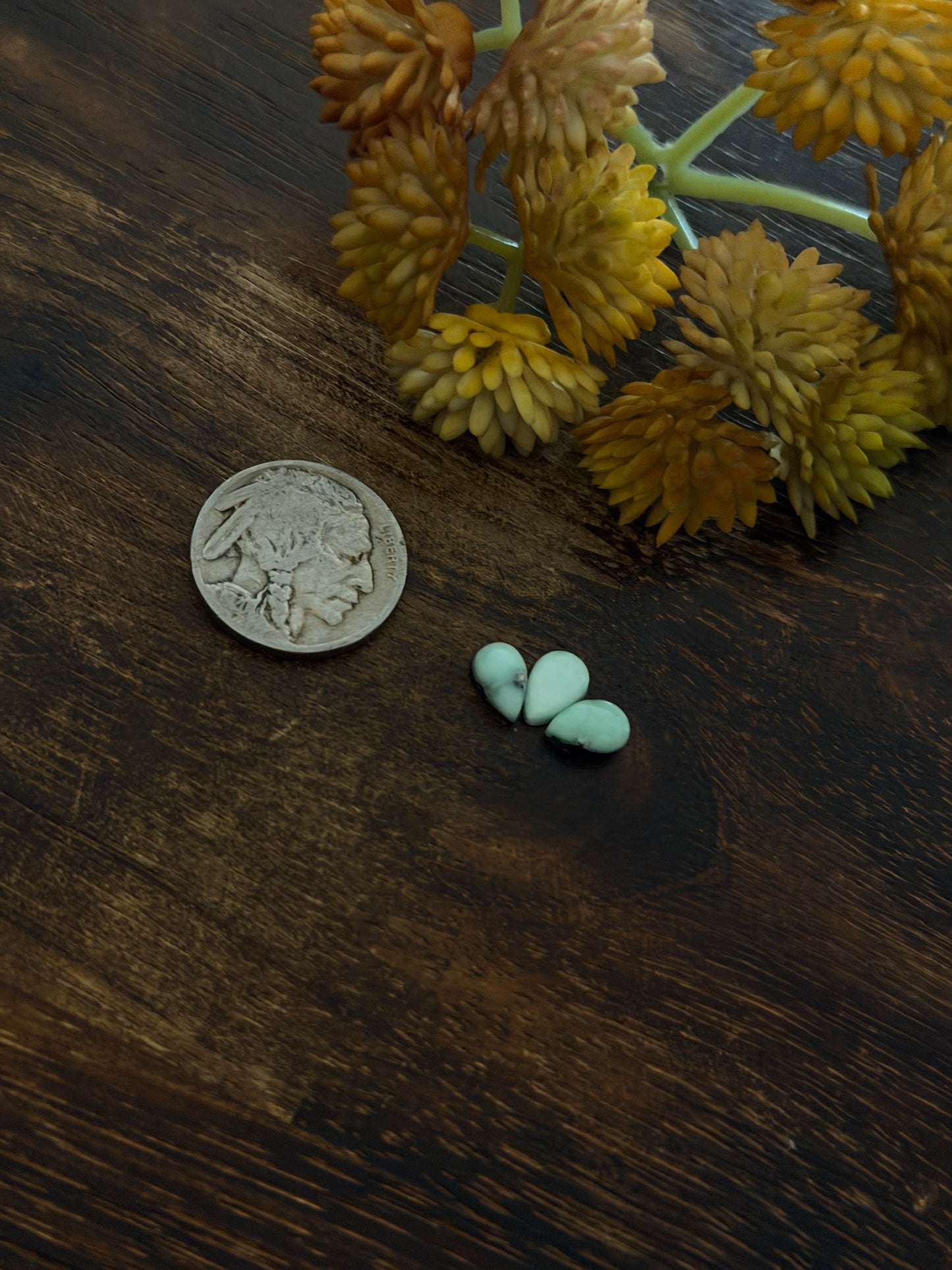 Paloma Variscite Cabs