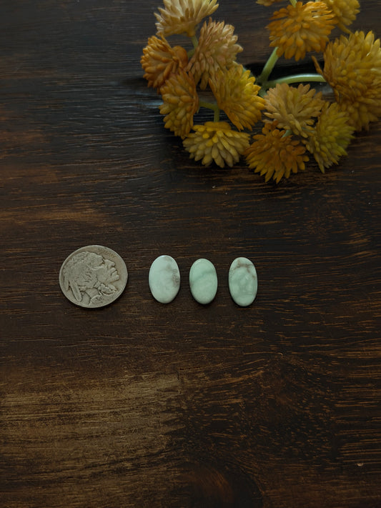 Paloma Variscite Cabs