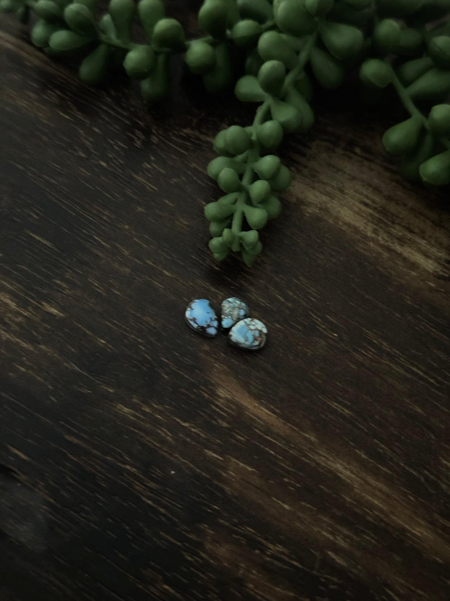 Golden Hills Turquoise Cabs