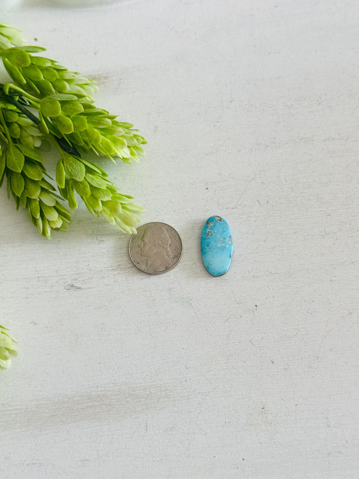 Blue Bird Turquoise Cab