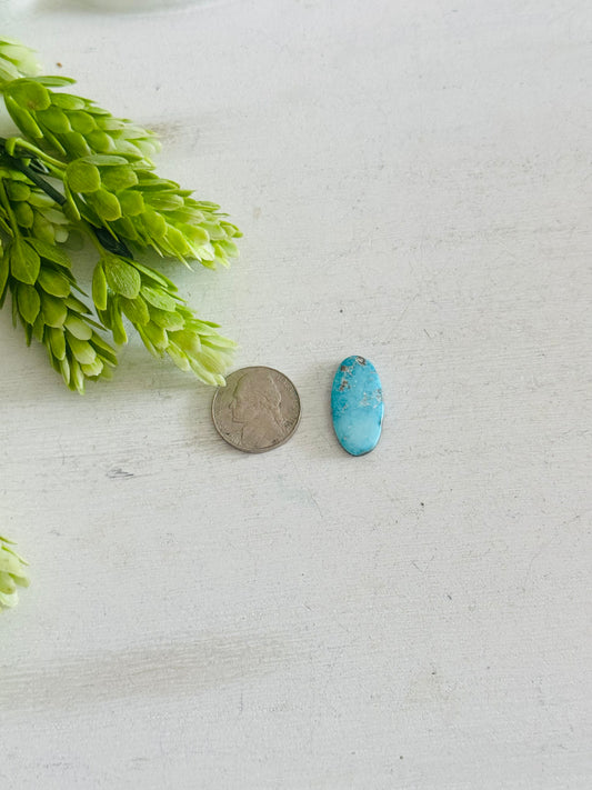 Blue Bird Turquoise Cab