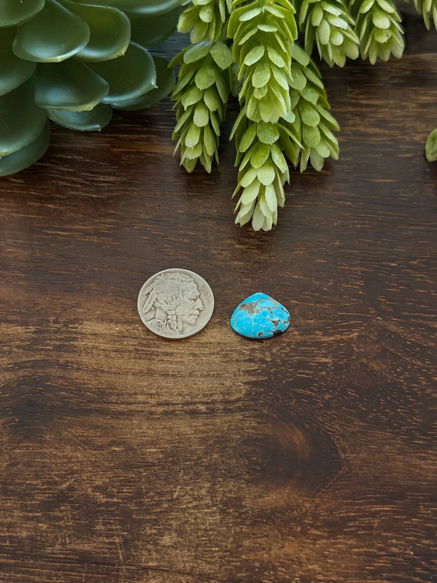 Blue Bird Turquoise Cab