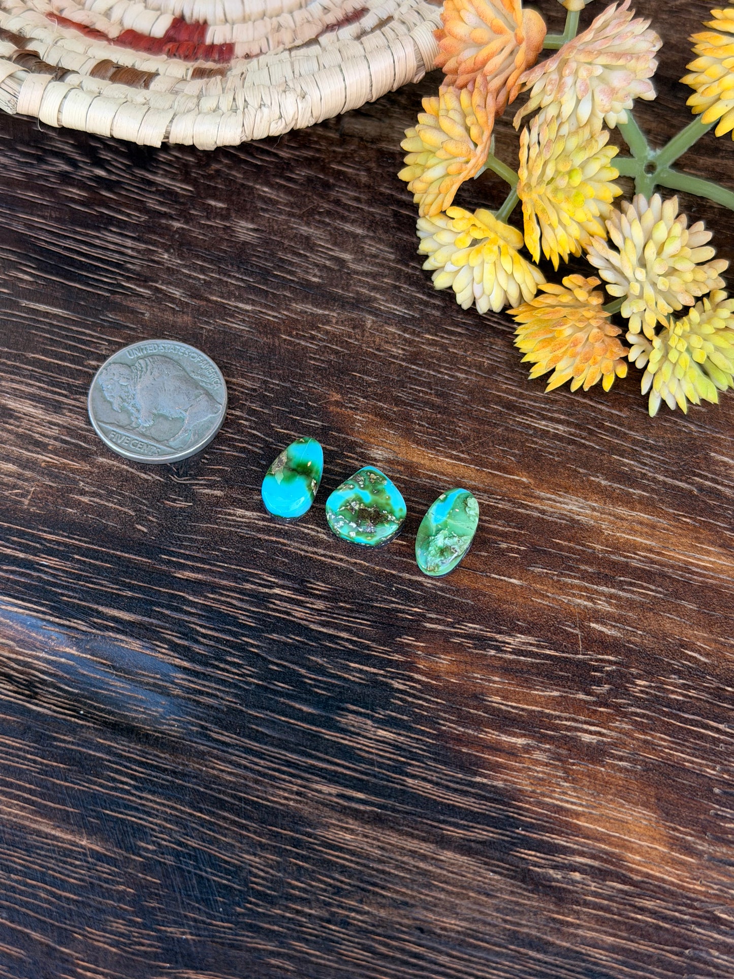 Sonoran Mountain Turquoise Cabs