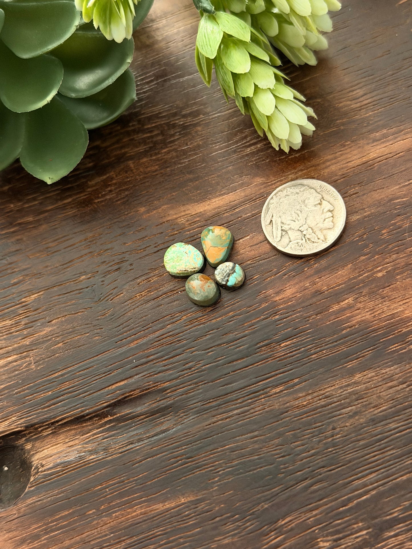 Evans Turquoise Cabs