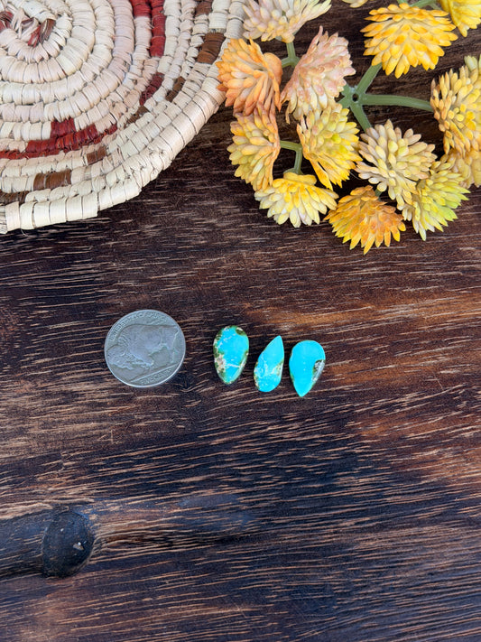Sonoran Mountain Turquoise Cabs