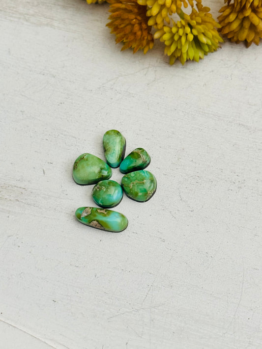 Natural Sonoran Gold Turquoise Cabs