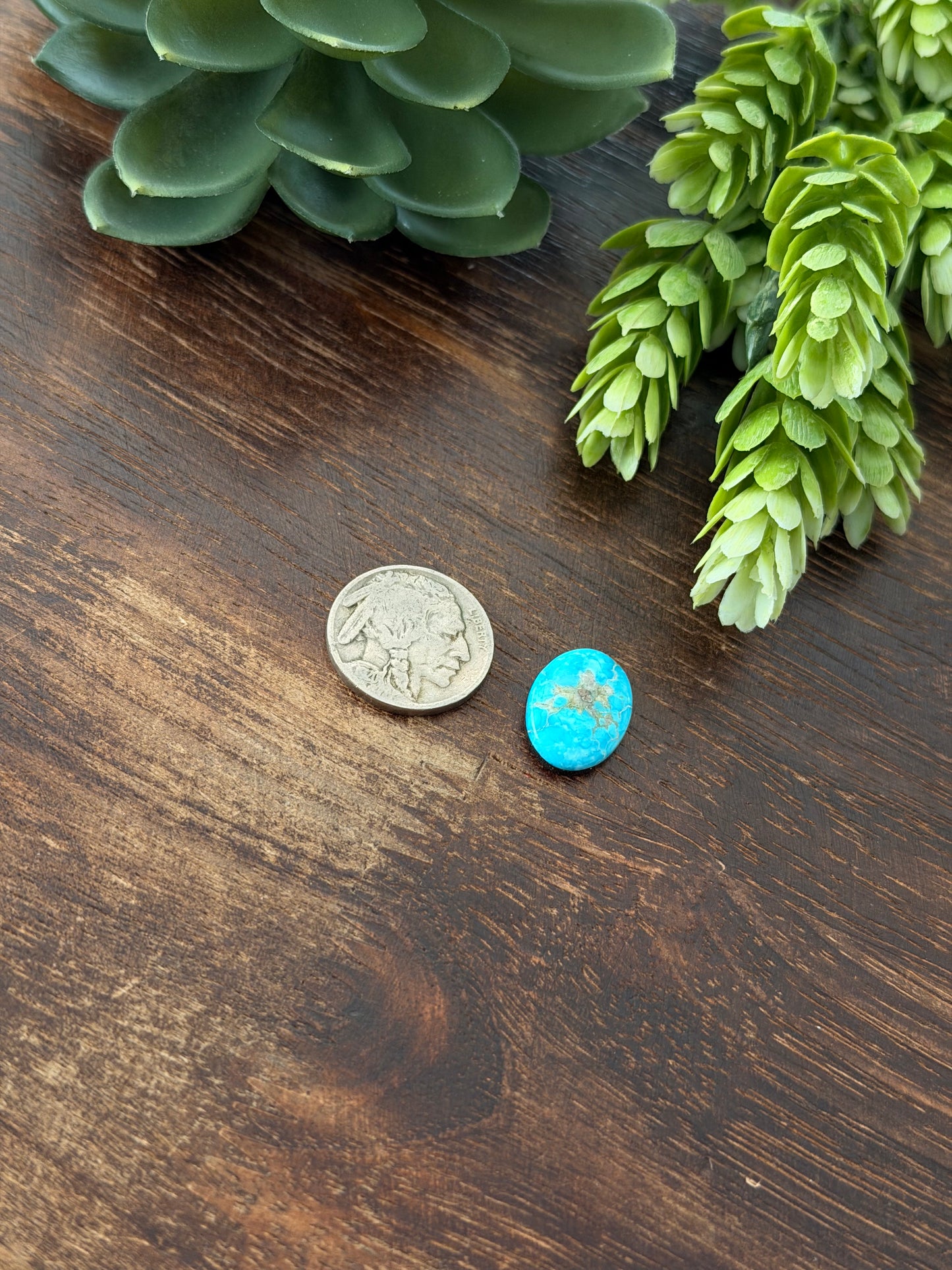 Blue Bird Turquoise Cab