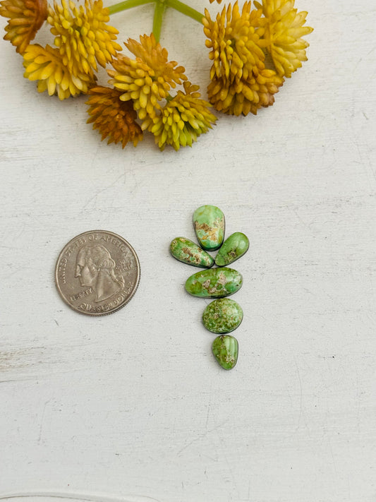 Natural Sonoran Gold Turquoise Cabs