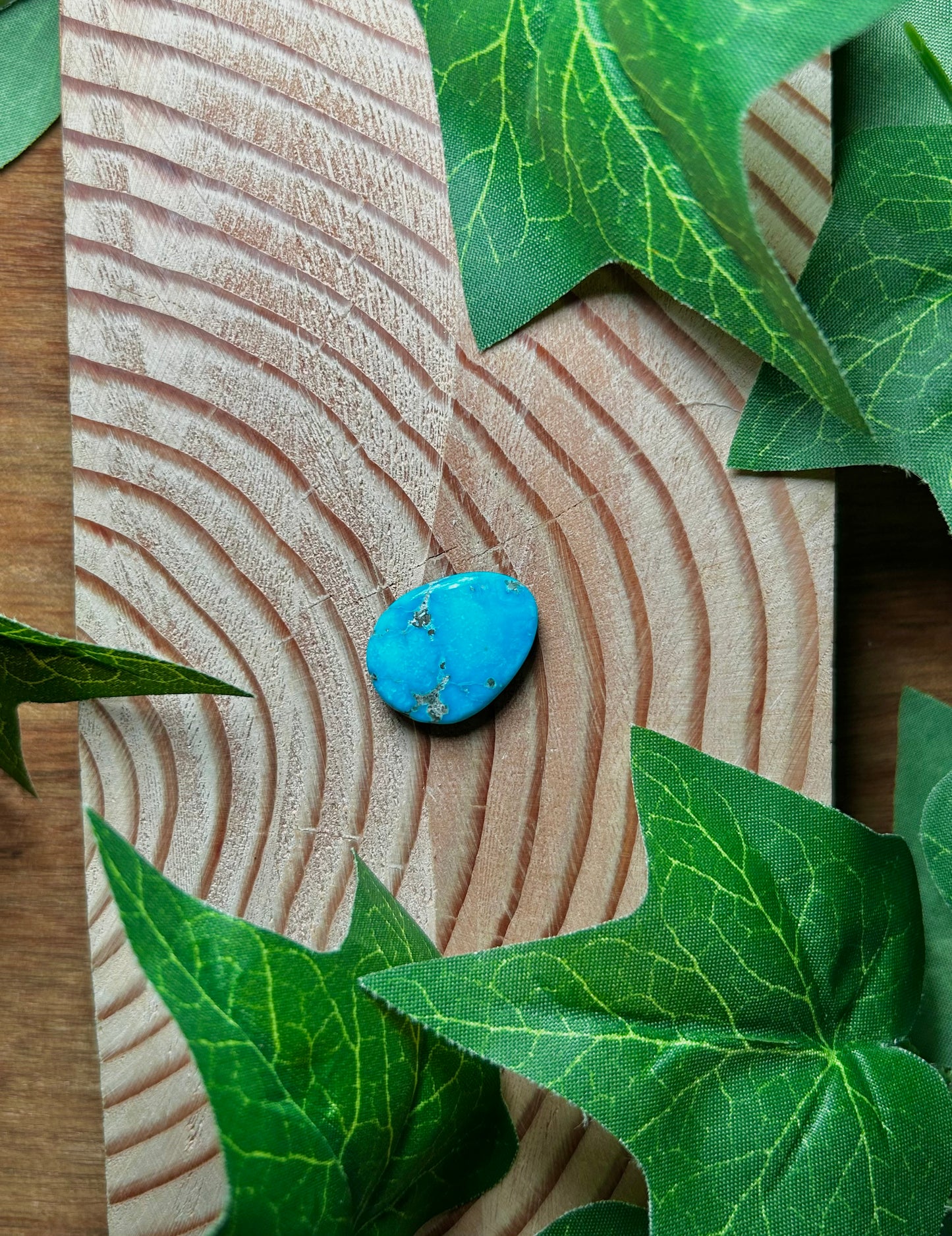 Blue Bird Turquoise Cabs