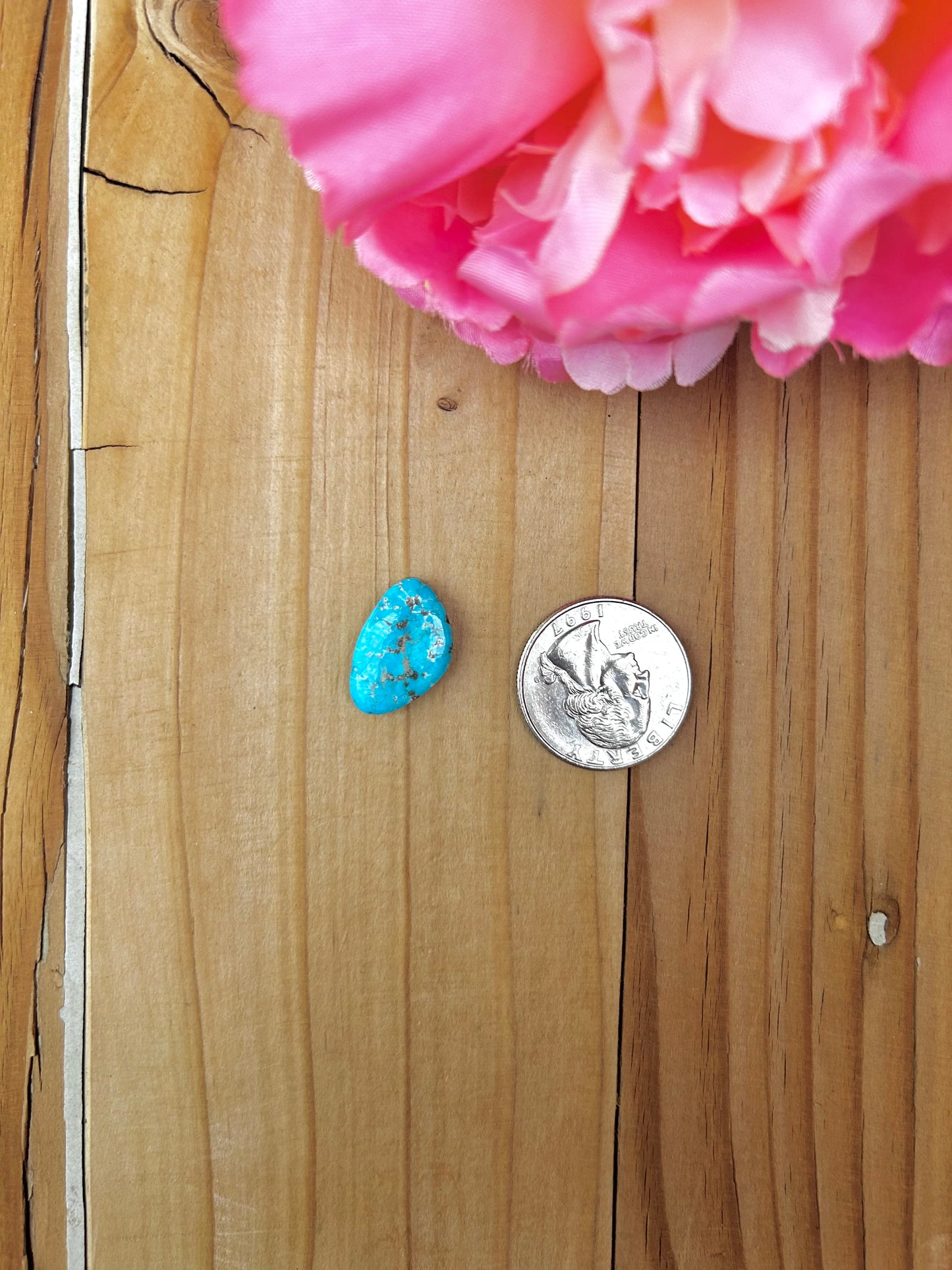 Blue Bird Turquoise Cabs
