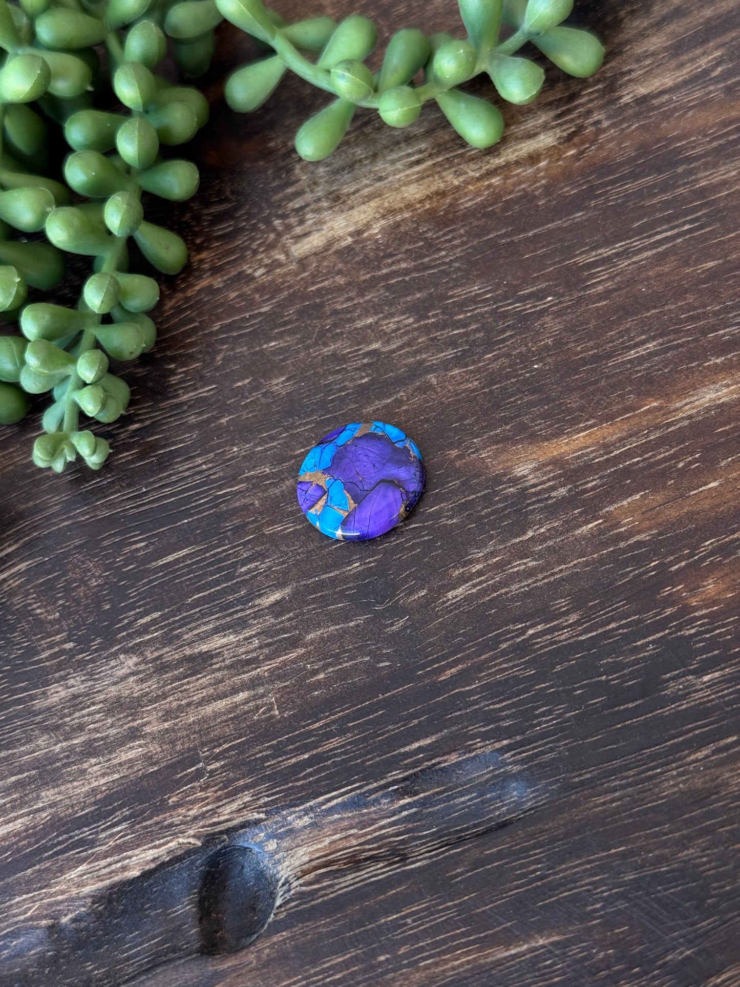 Purple Dahlia Composite Cabs