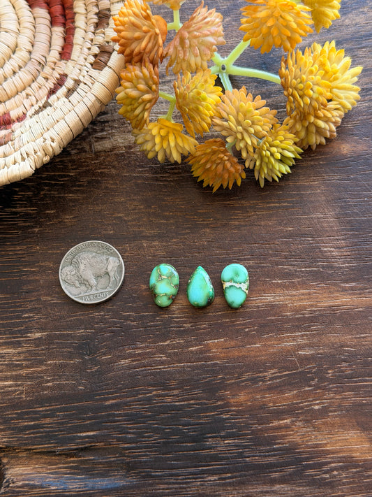 Sonoran Mountain Turquoise Cabs