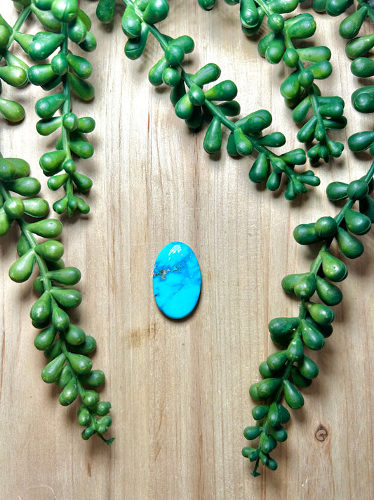 Blue Ridge Turquoise Cab