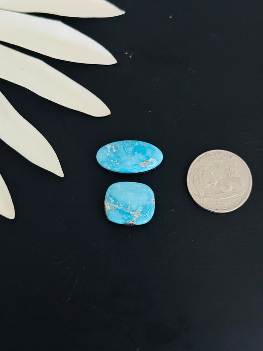 Blue Bird Turquoise Cabs