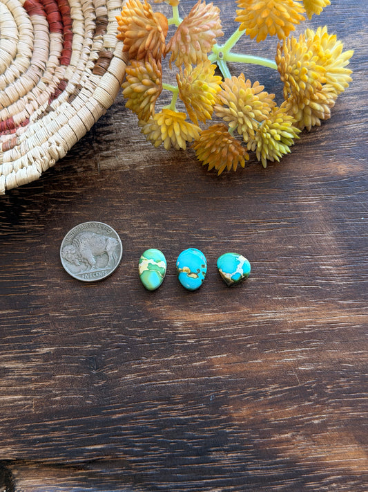 Sonoran Mountain Turquoise Cabs