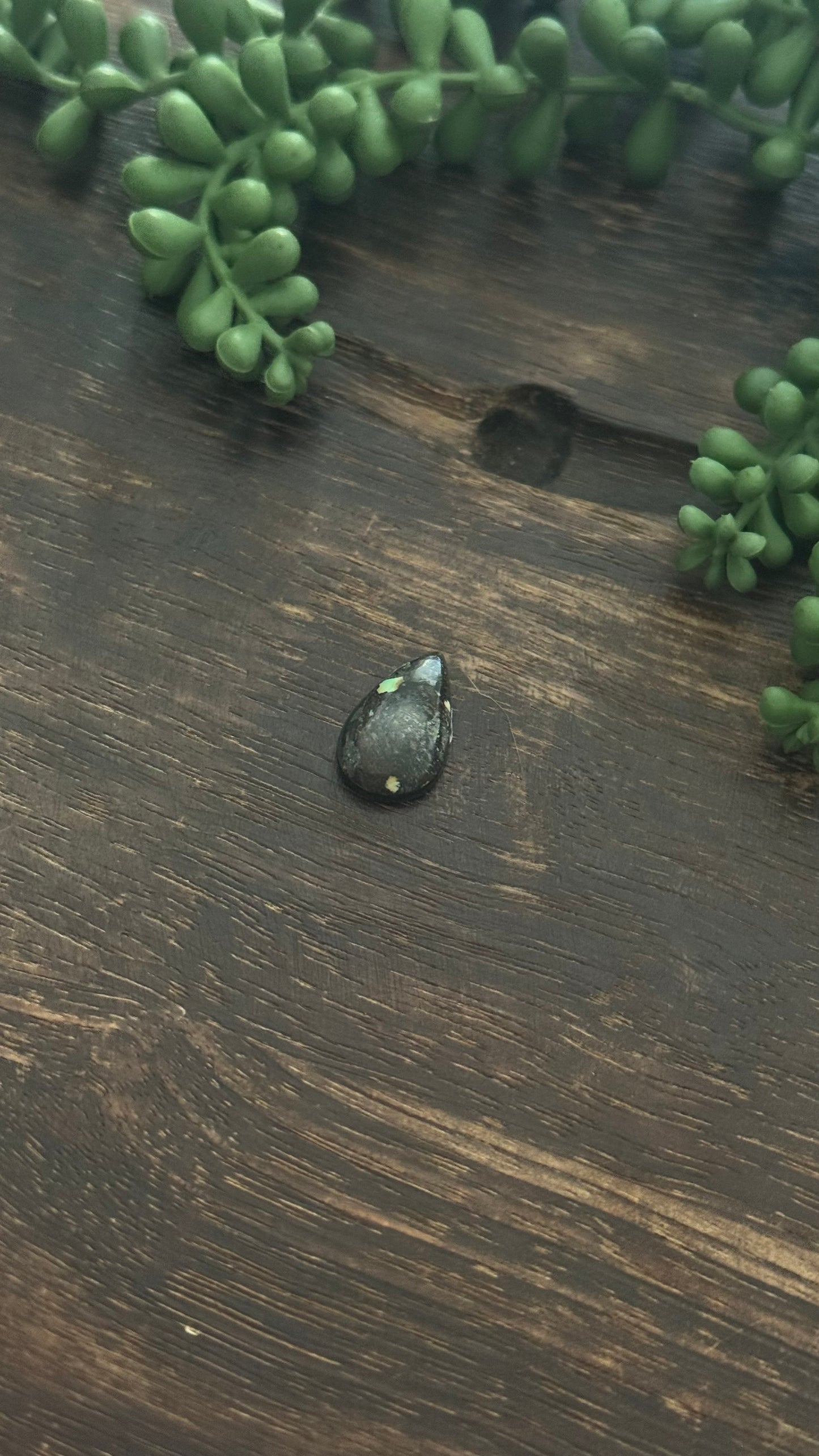 Black Jack Turquoise Cab