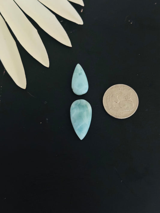 Larimar Cabs