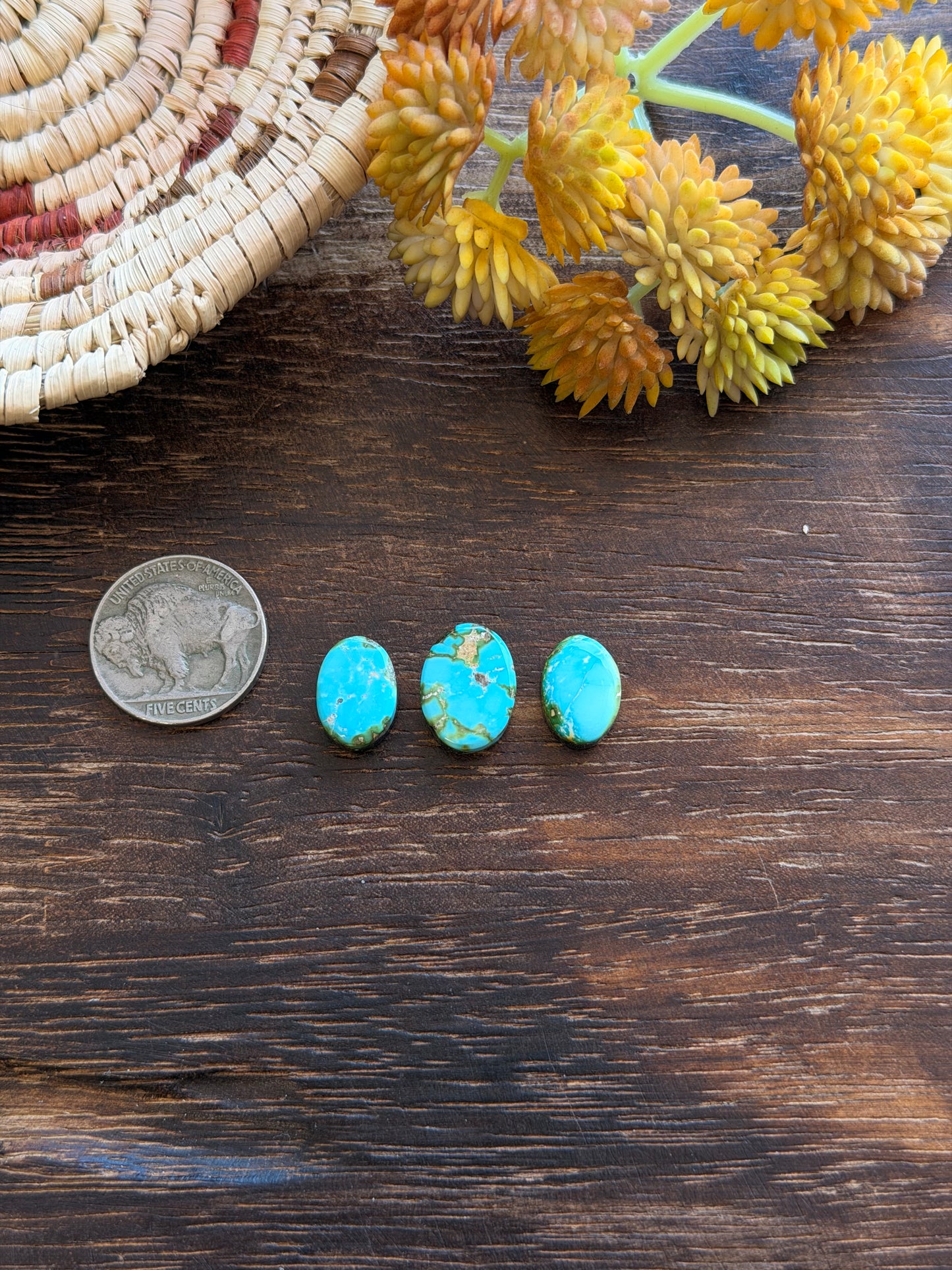 Sonoran Mountain Turquoise Cabs