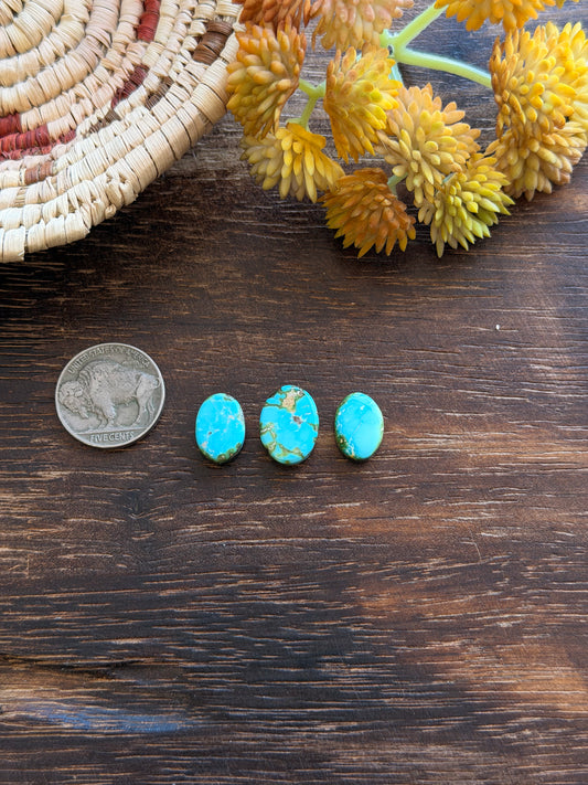 Sonoran Mountain Turquoise Cabs
