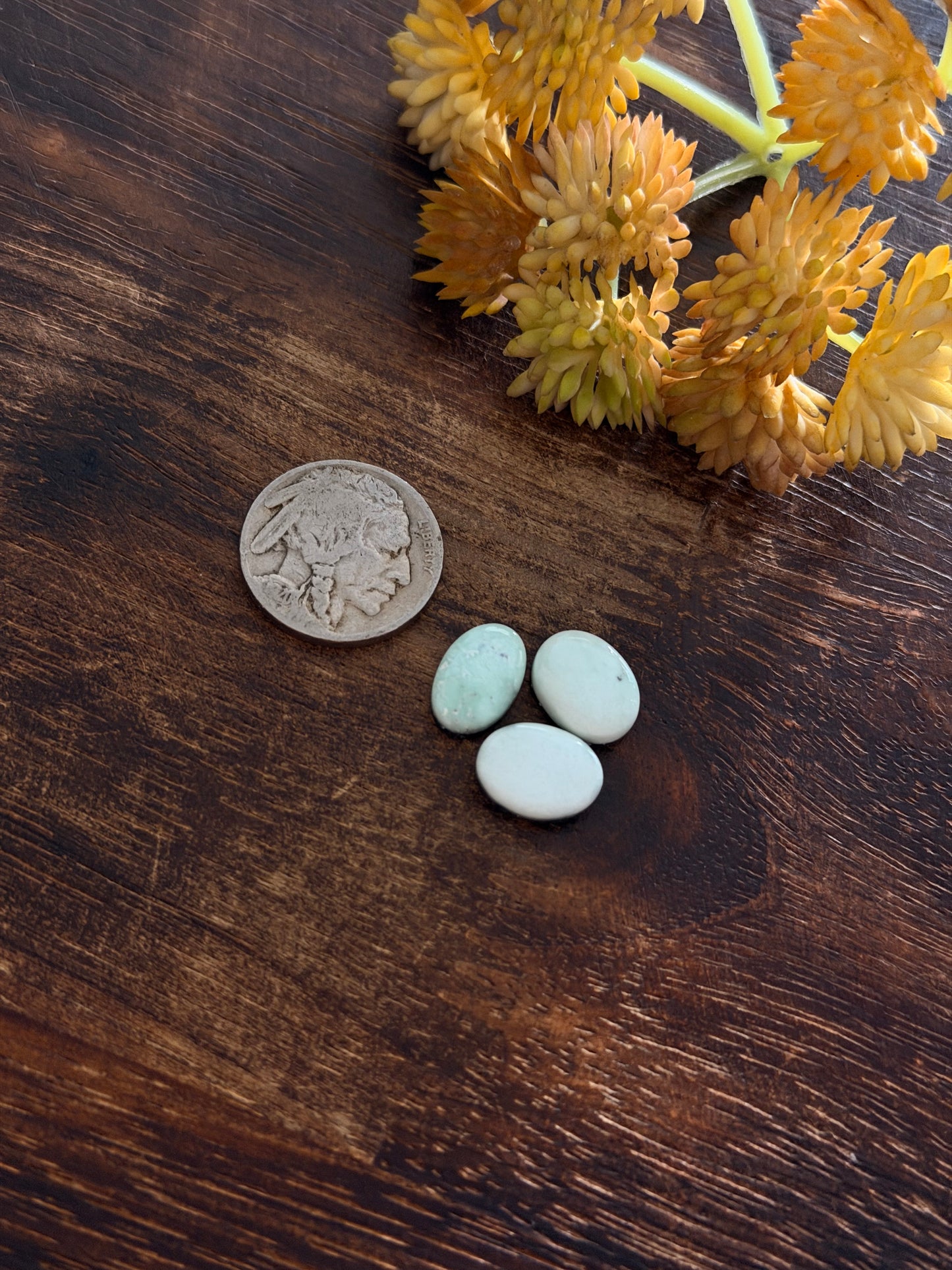 Paloma Variscite Cabs