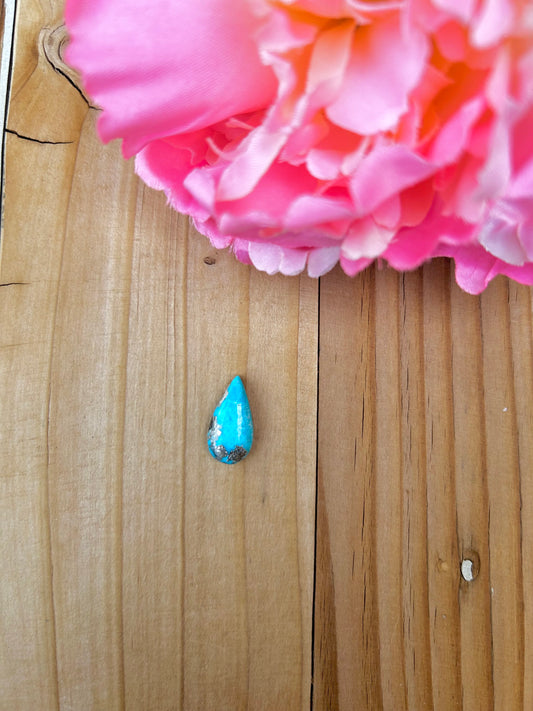 Blue Bird Turquoise Cabs