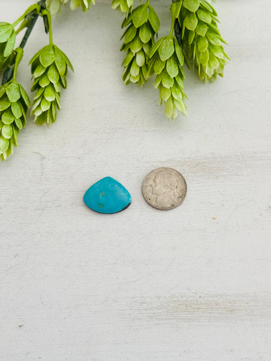 Kingman Turquoise Cab