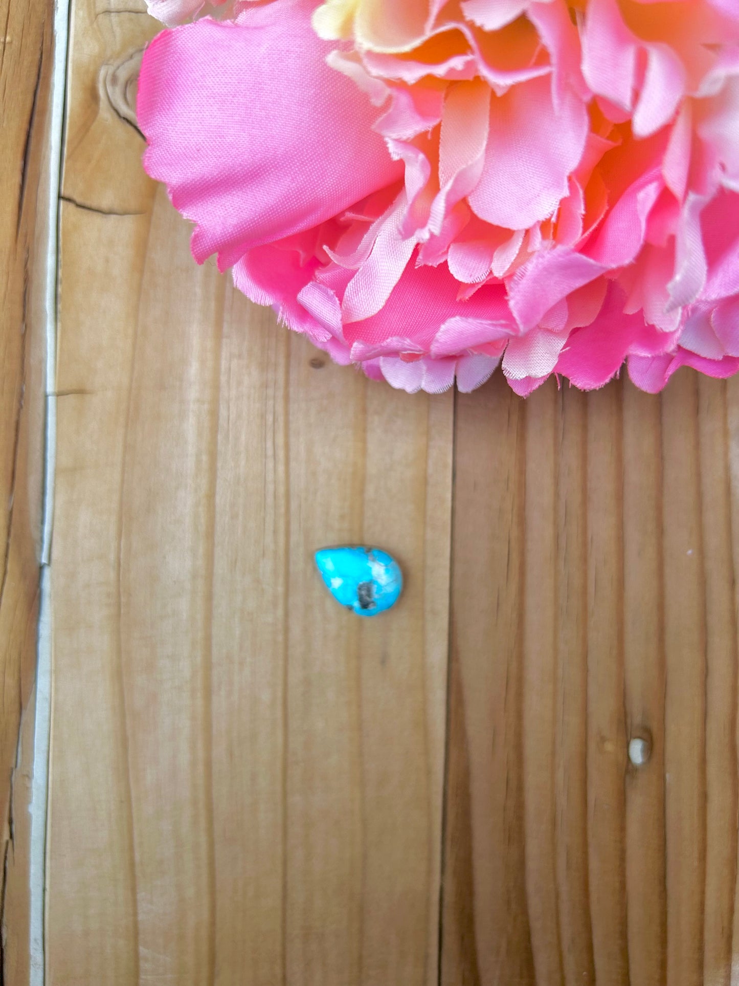 Blue Bird Turquoise Cabs