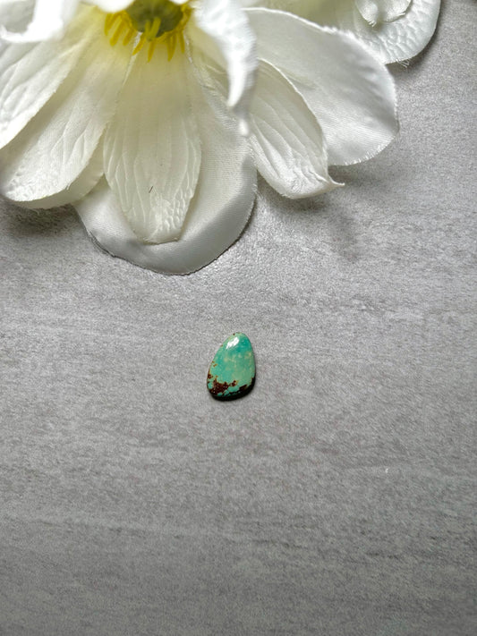 Kingman Turquoise Cab