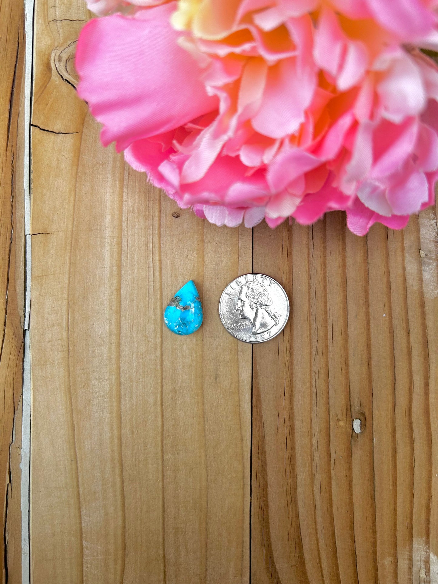 Blue Bird Turquoise Cabs