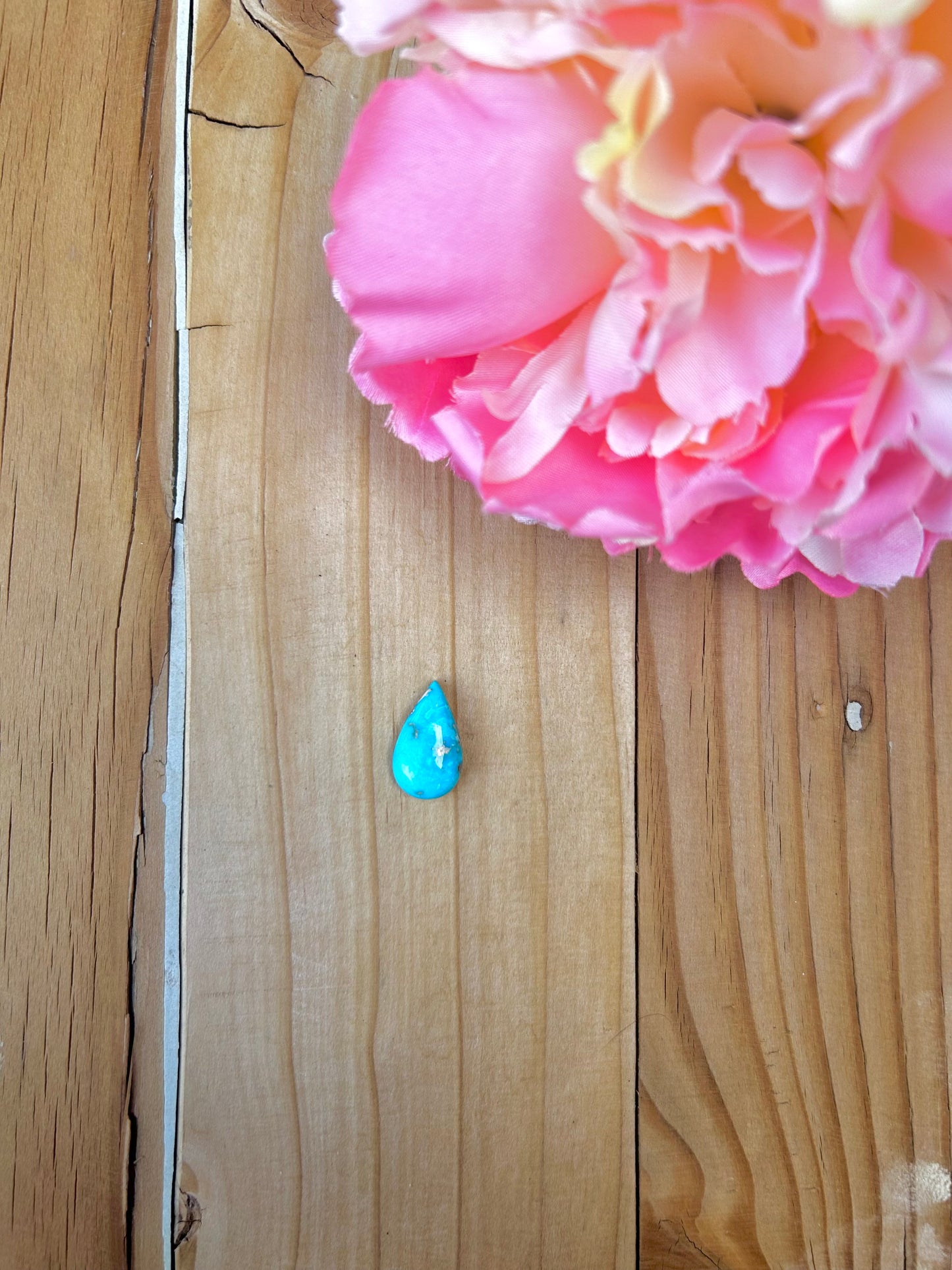 Blue Bird Turquoise Cabs