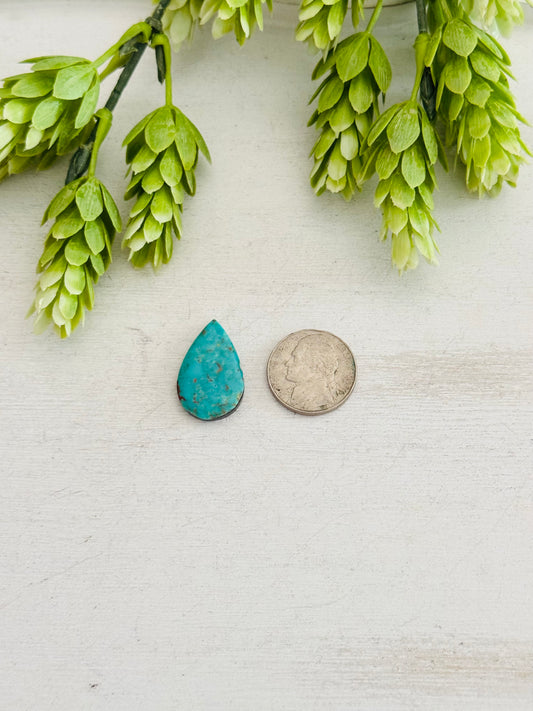Kingman Turquoise Cab