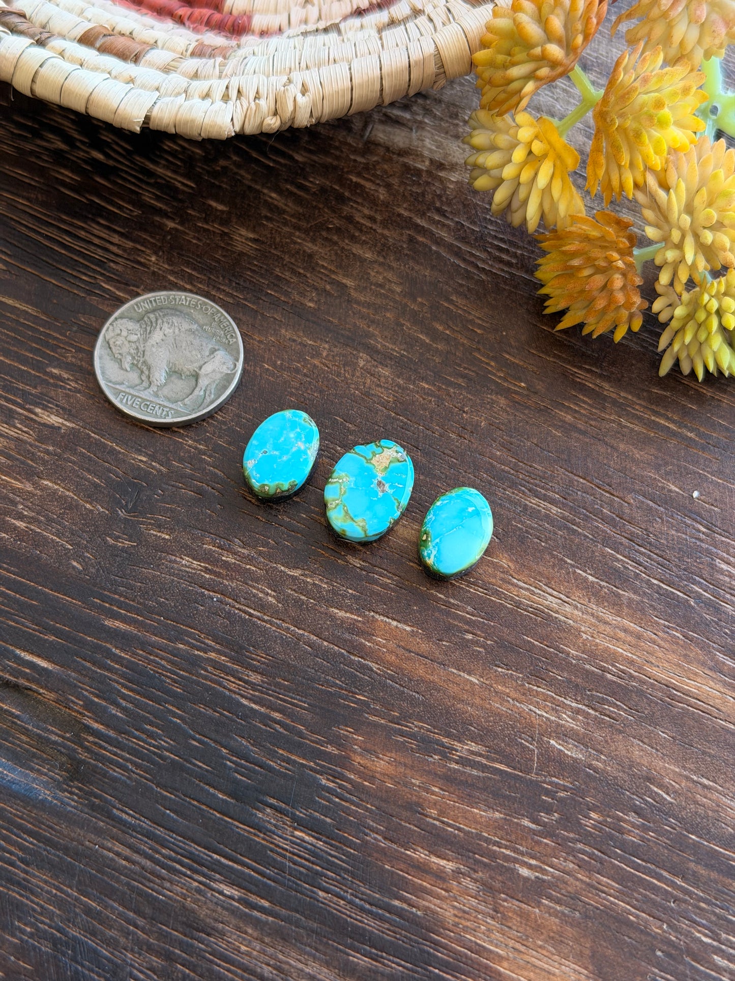 Sonoran Mountain Turquoise Cabs